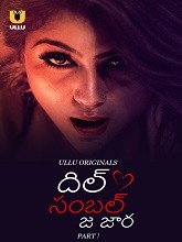 Dil Sambhal Ja Zara (2024) HDRip Telugu Season 1 Part 1 Watch Online Free